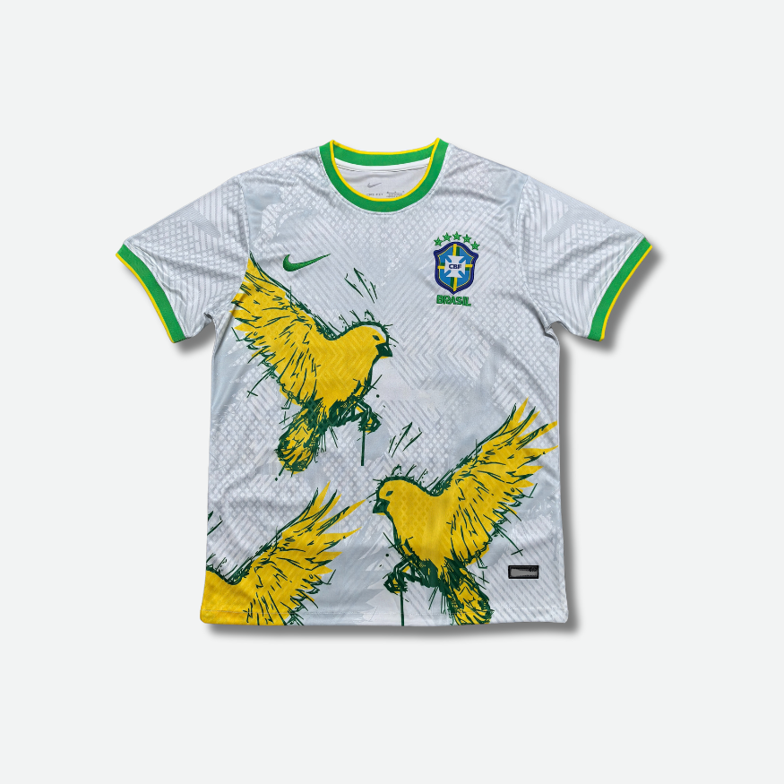 Maillot Bresil Concept 2024-2025