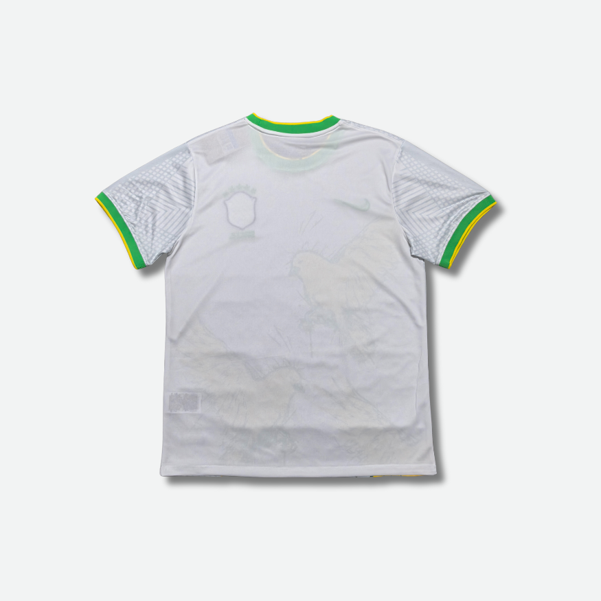 Maillot Bresil Concept 2024-2025 photo 2